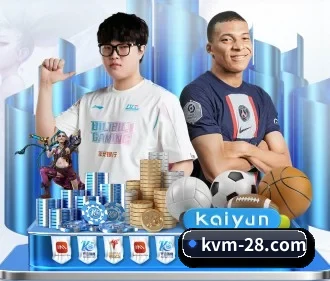 加拿大28 APP